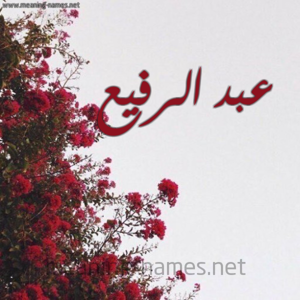 شكل 18 صوره الورد الأحمر للإسم بخط رقعة صورة اسم عبد الرفيع ABDERRAFIA